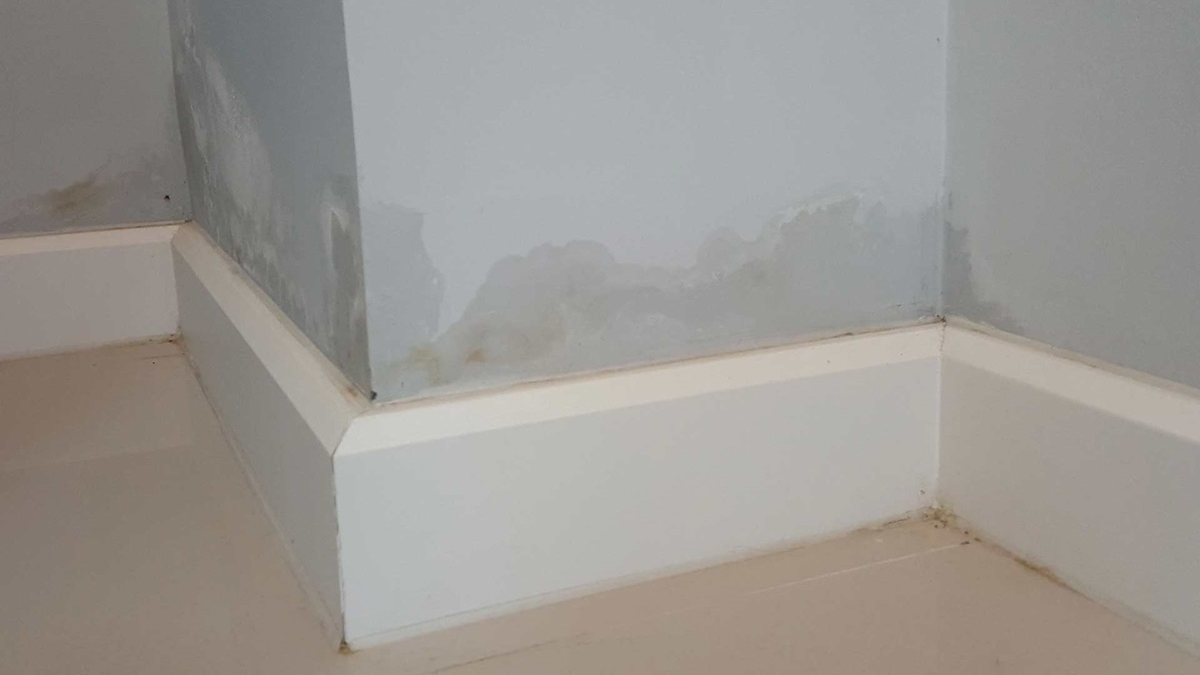 Waterproofing tanda 2 tembok rembes atau berjamur